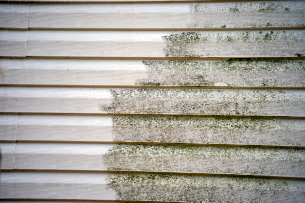 Best Brick Veneer Siding  in West Berlin, NJ